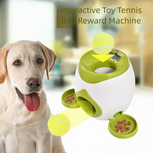 Pet Dog Tennis Treat Dispenser Training Device Reward Machine Dog Snack Machine Ball Tossing Device Interactive Fun Dog Toy